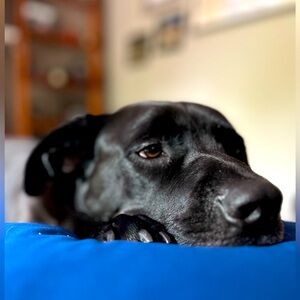 Meet your Posher, Ceren